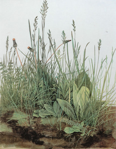 Das große Rasenstück