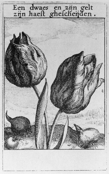 ""Ein Narr und sein Geld sind schnell getrennt.""