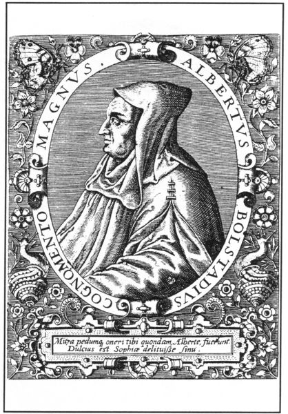 Bildnis des Albertus Magnus