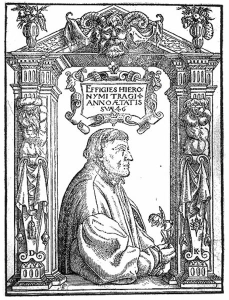 Bildnis des Hieronymus Bock, genannt Tragus