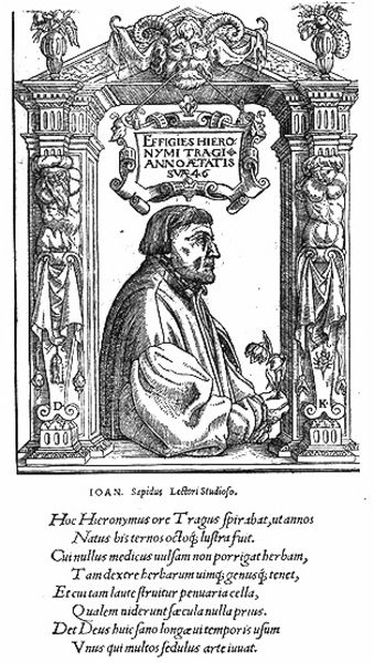 Bildnis des Hieronymus Bock, genannt Tragus