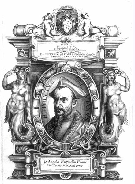 Bildnis des Hippolytus Salviani