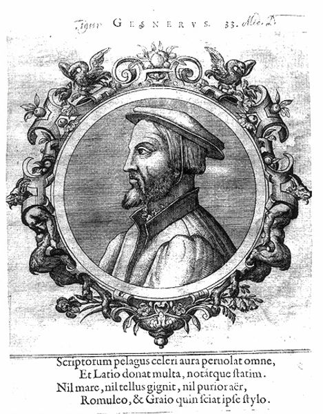 Bildnis des Konrad Gesner