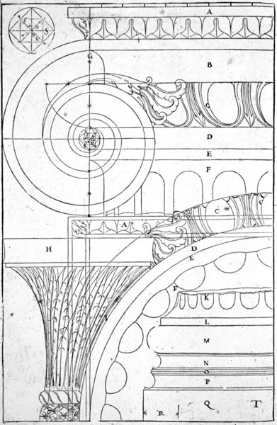 I Quattro Libri della Architettura, Buch I, Kap. 20 Von den Basiliken aus unserer Zeit und von den Zeichnungen der Basilika in Vicenza (Aufriss: Detail)