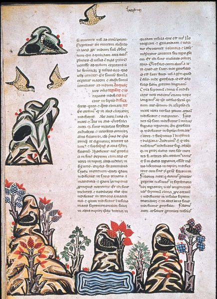 Falkenbuch Friedrichs des II.; De arte venandi cum avibus