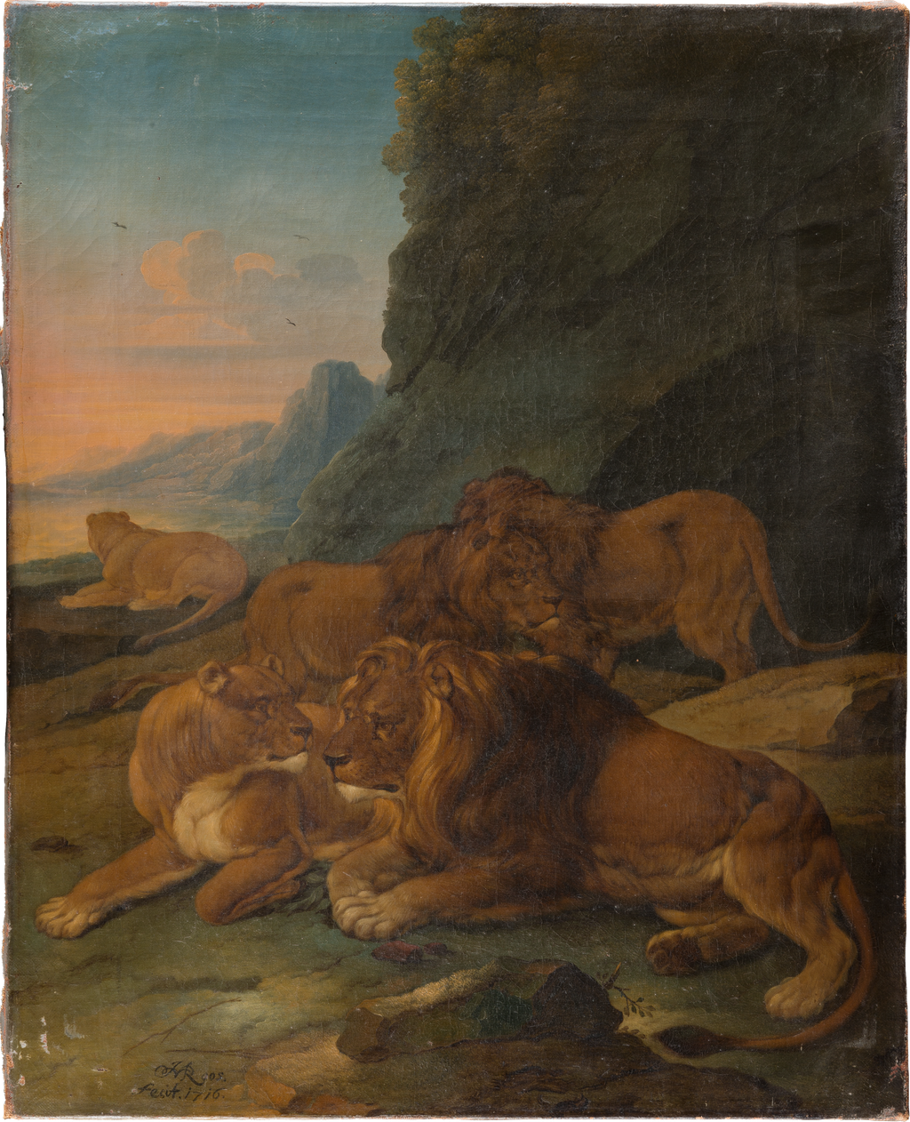 Löwenrudel in felsiger Landschaft;Landschaft mit Löwenfamilie