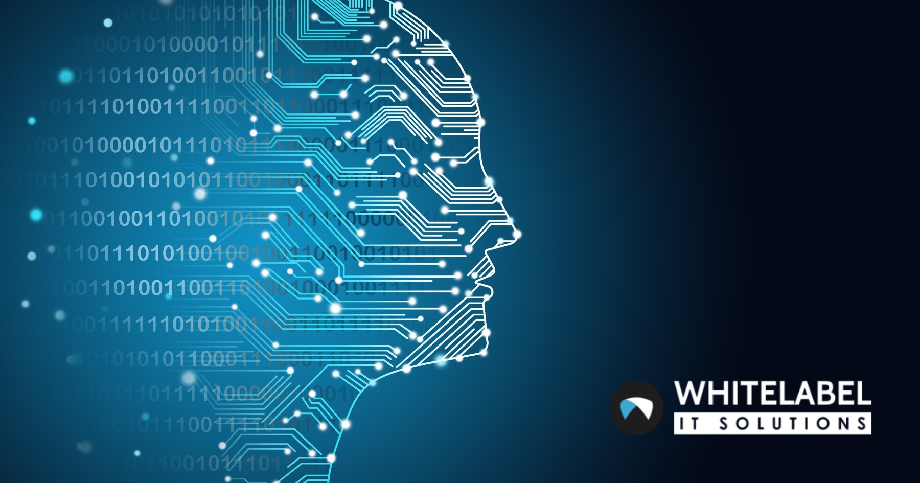Whitelabel IT Solutions Launches AI Server Hosting Platform
