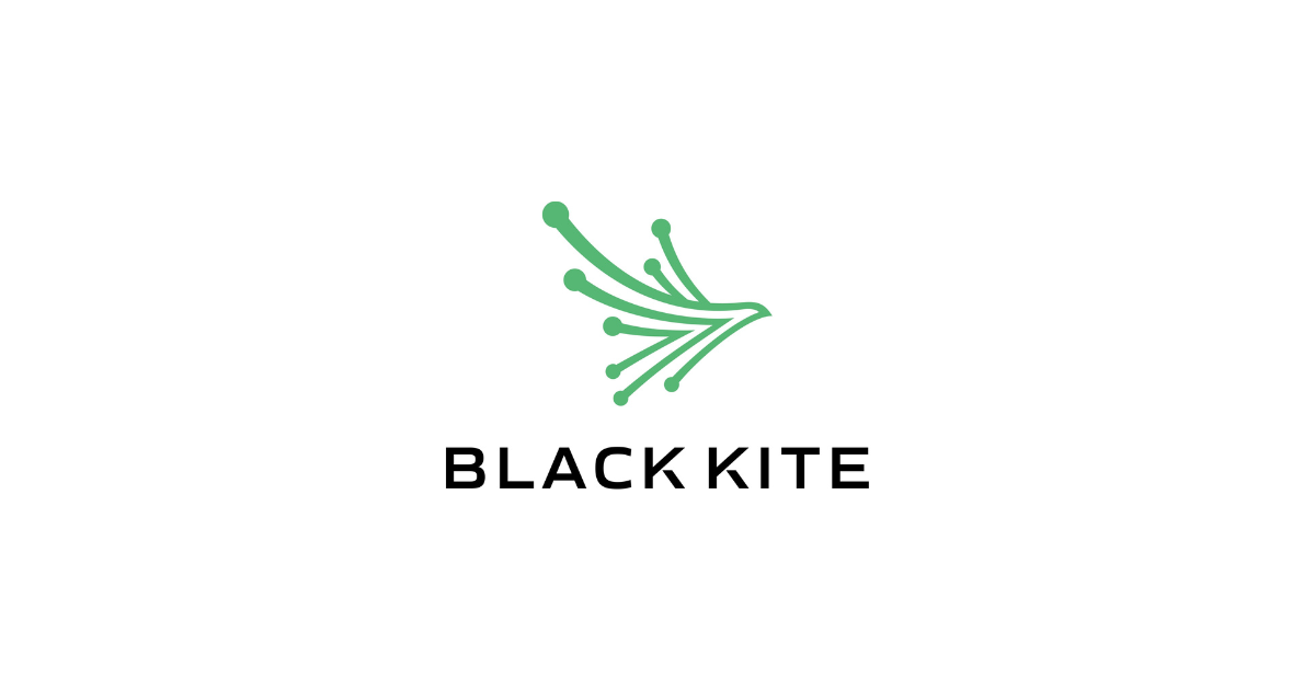 Black Kite Introduces AI-Powered Cyber Assessments