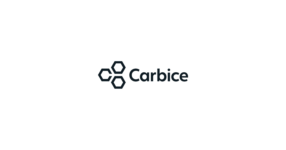 Carbice Appoints Tony Fernandez-Stoll as Chief Revenue Officer
