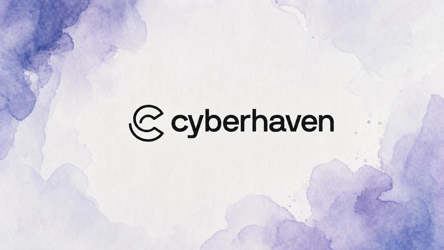 Cyberhaven Names Todd Rotger President and Adds Three Executives