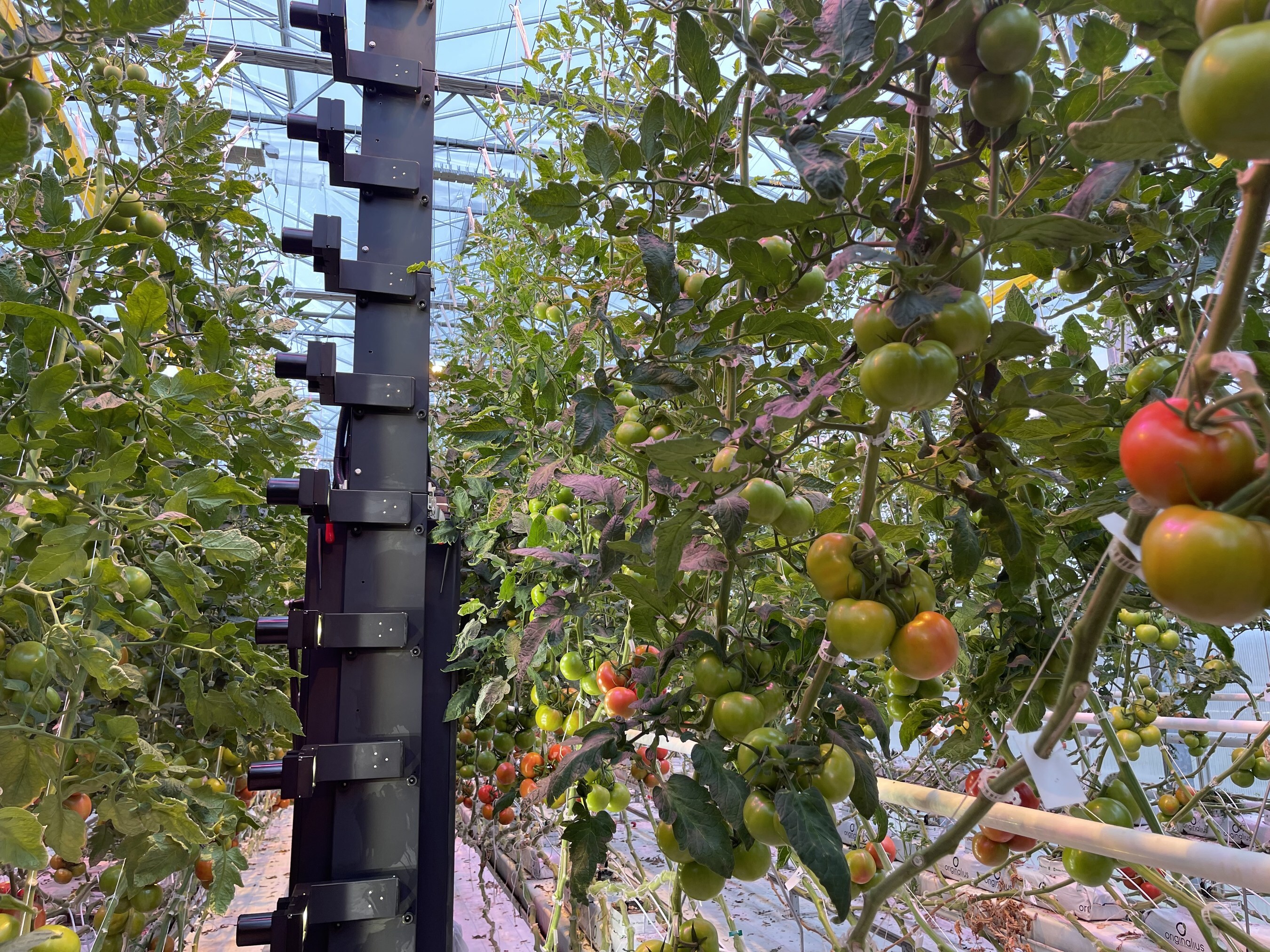 IUNU Secures $20 Million for AI-Driven Greenhouse Expansion