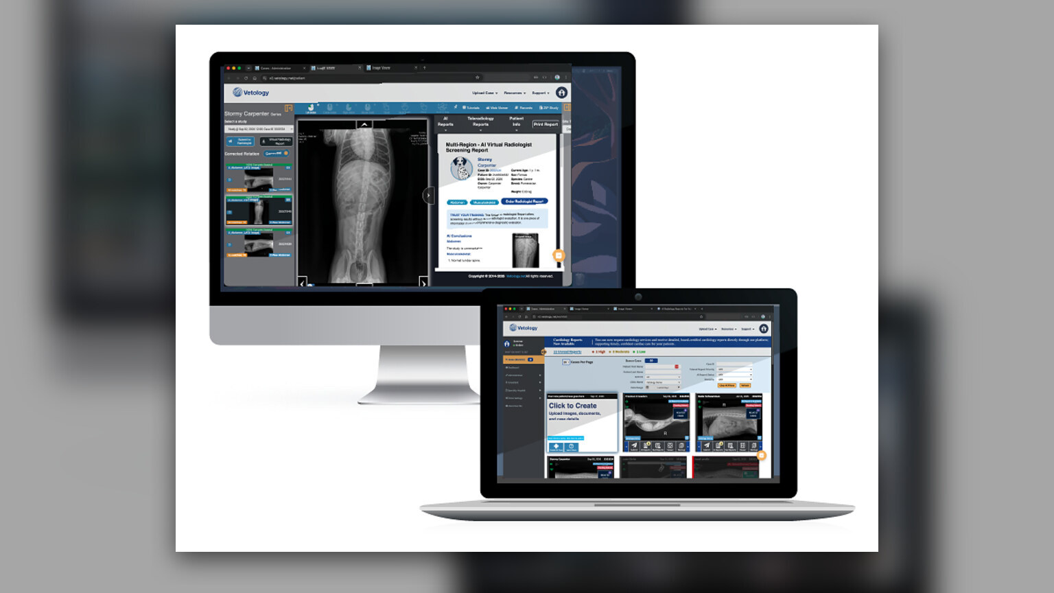 Vetology Rebuilds 94 Veterinary Radiology AI Classifiers