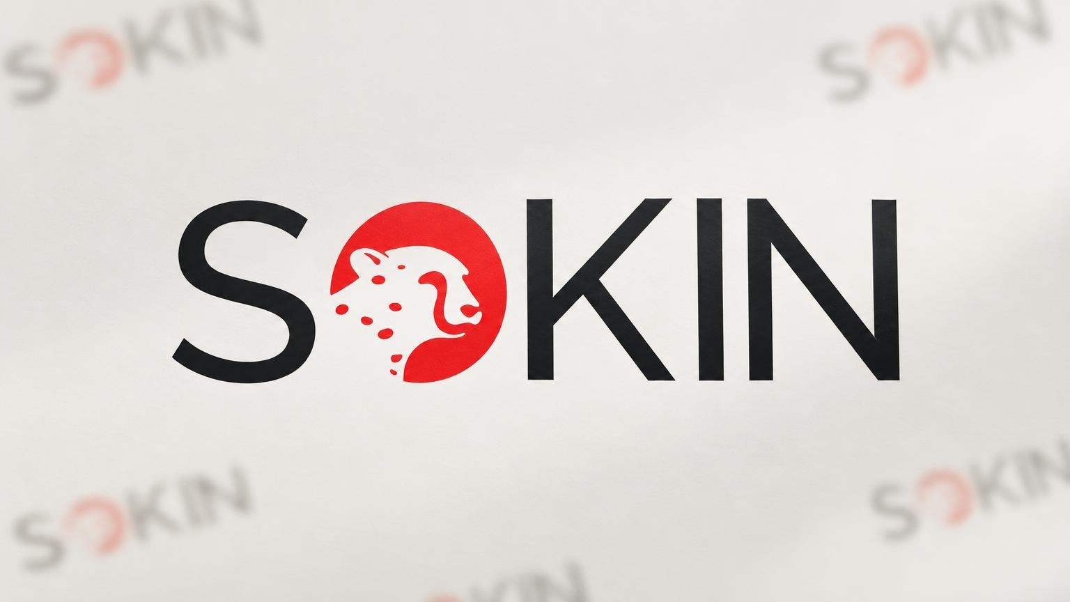 Sokin Launches MCP Connector for AI Payment Workflows