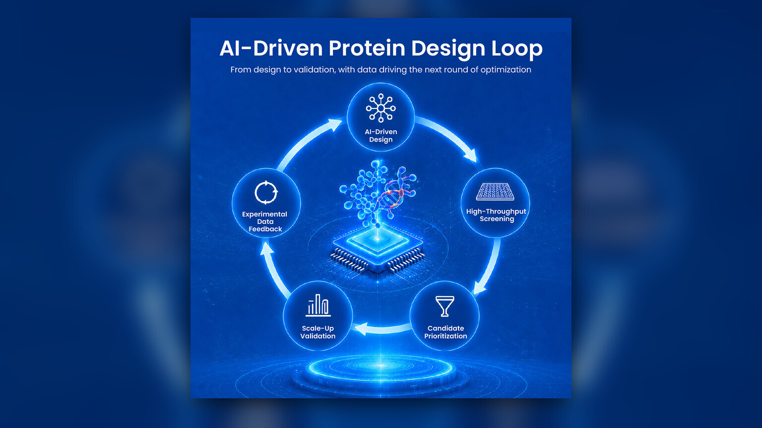 Tsingke Introduces Validation Workflow for AI Designed Proteins
