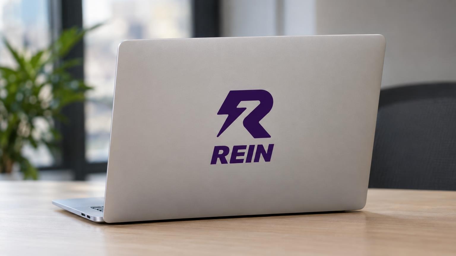 Rein Security raises $25 million for AI agent security