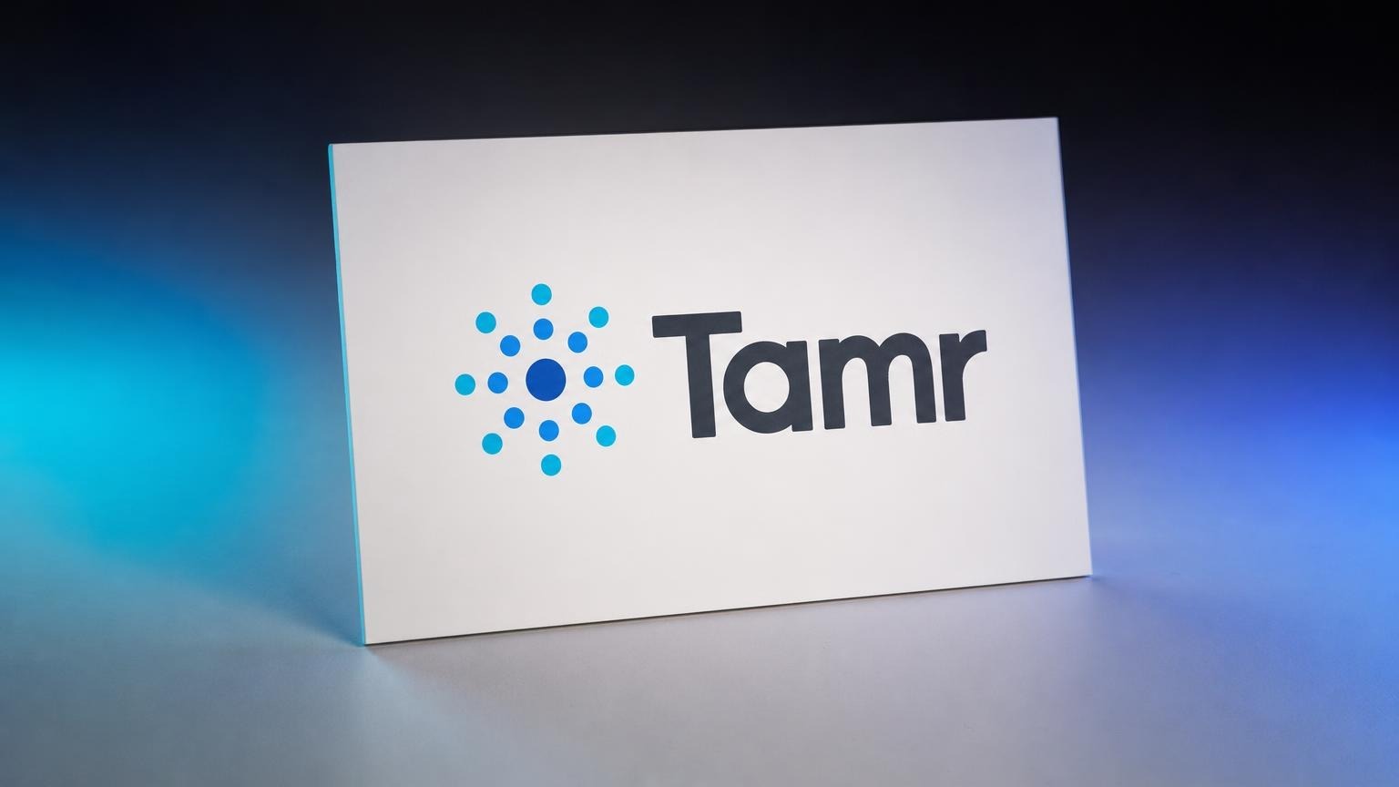Tamr raises $21 million to expand agentic data management