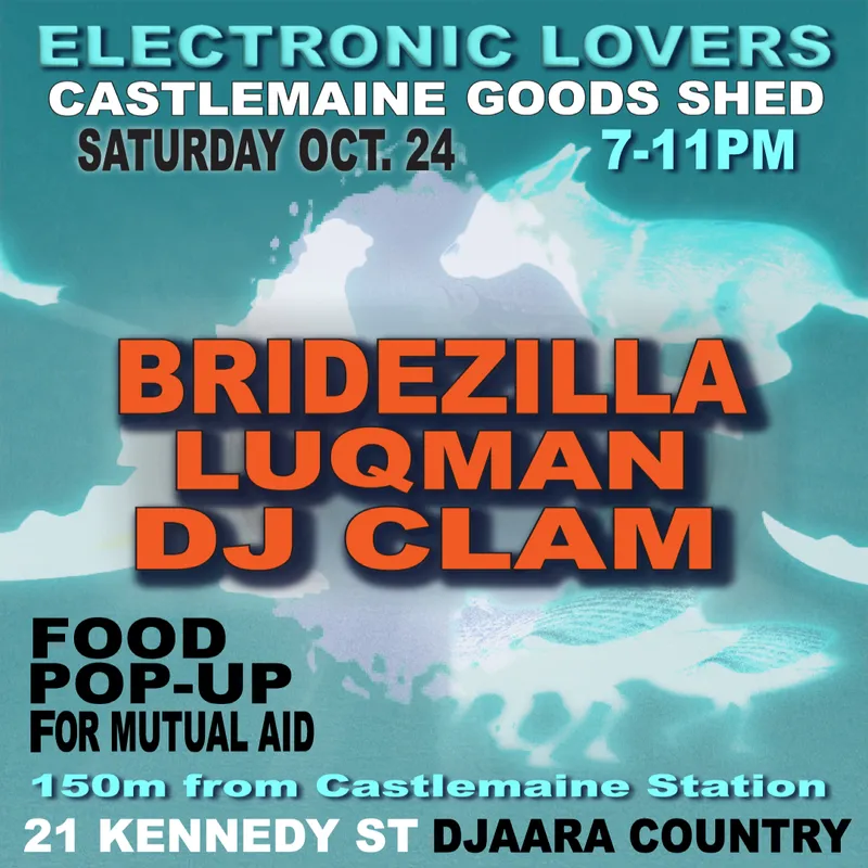 Electronic Lovers