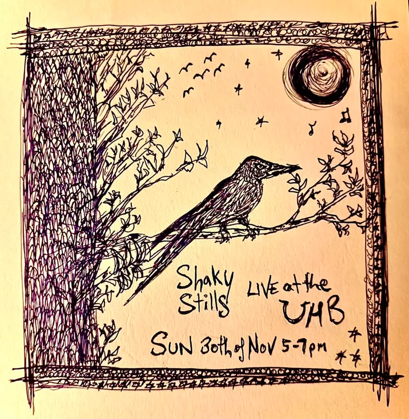 Shaky Stills 