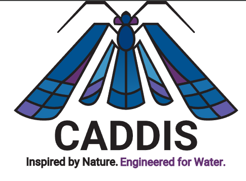 CADDIS Logo
