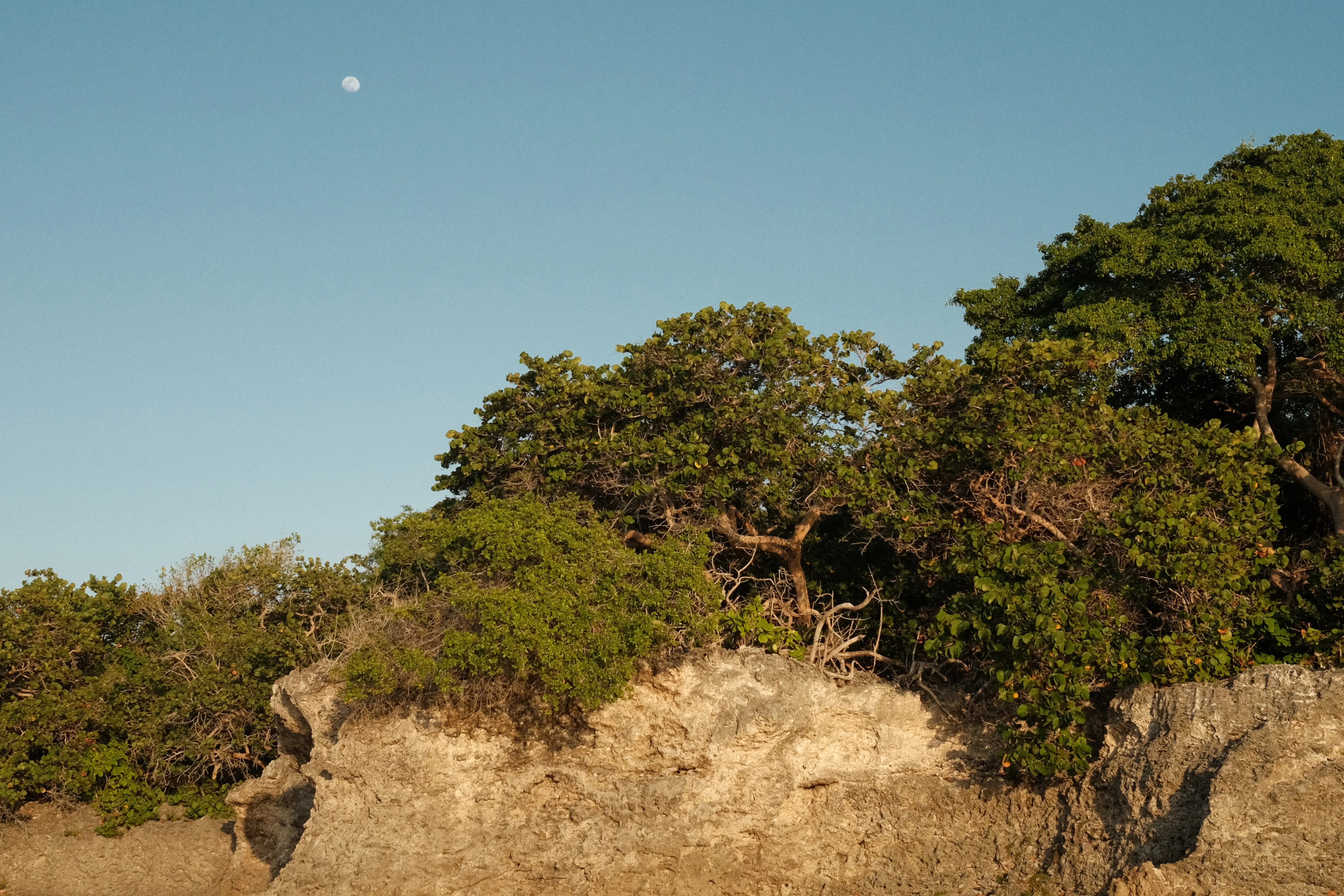 Photo: 2023-01-03_Little-Island-In-Cartagena.webp
