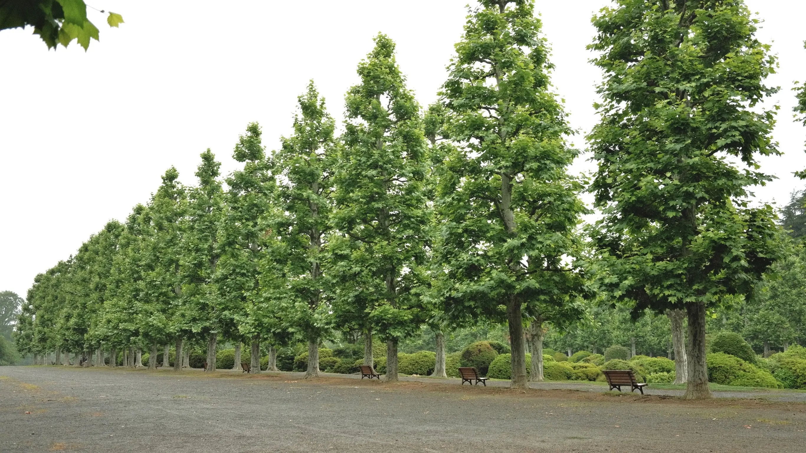 Photo: 2023-05-23_Imperial-Palace-Park.webp