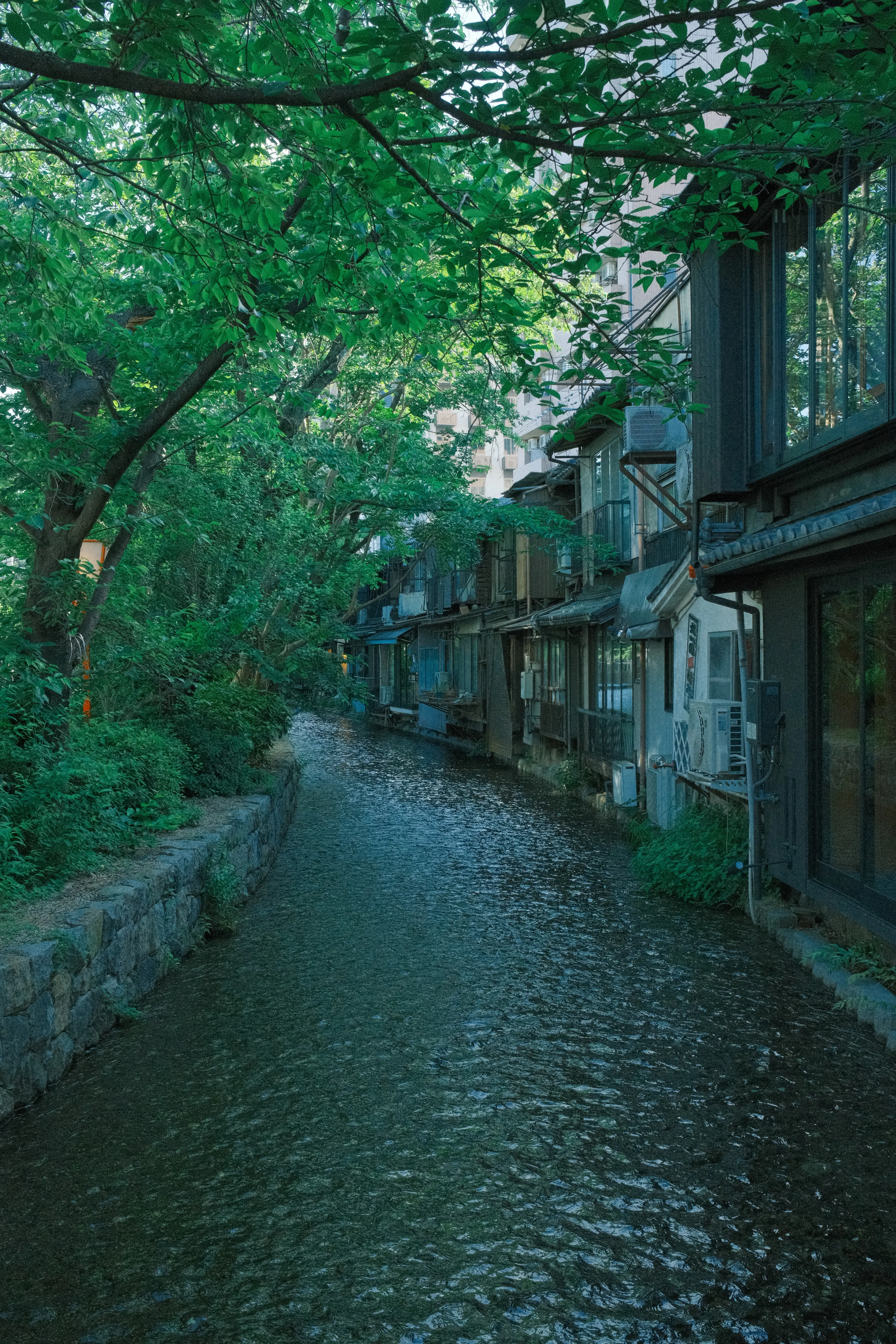 Photo: 2023-05-24_Waterway-in-Kyoto.webp