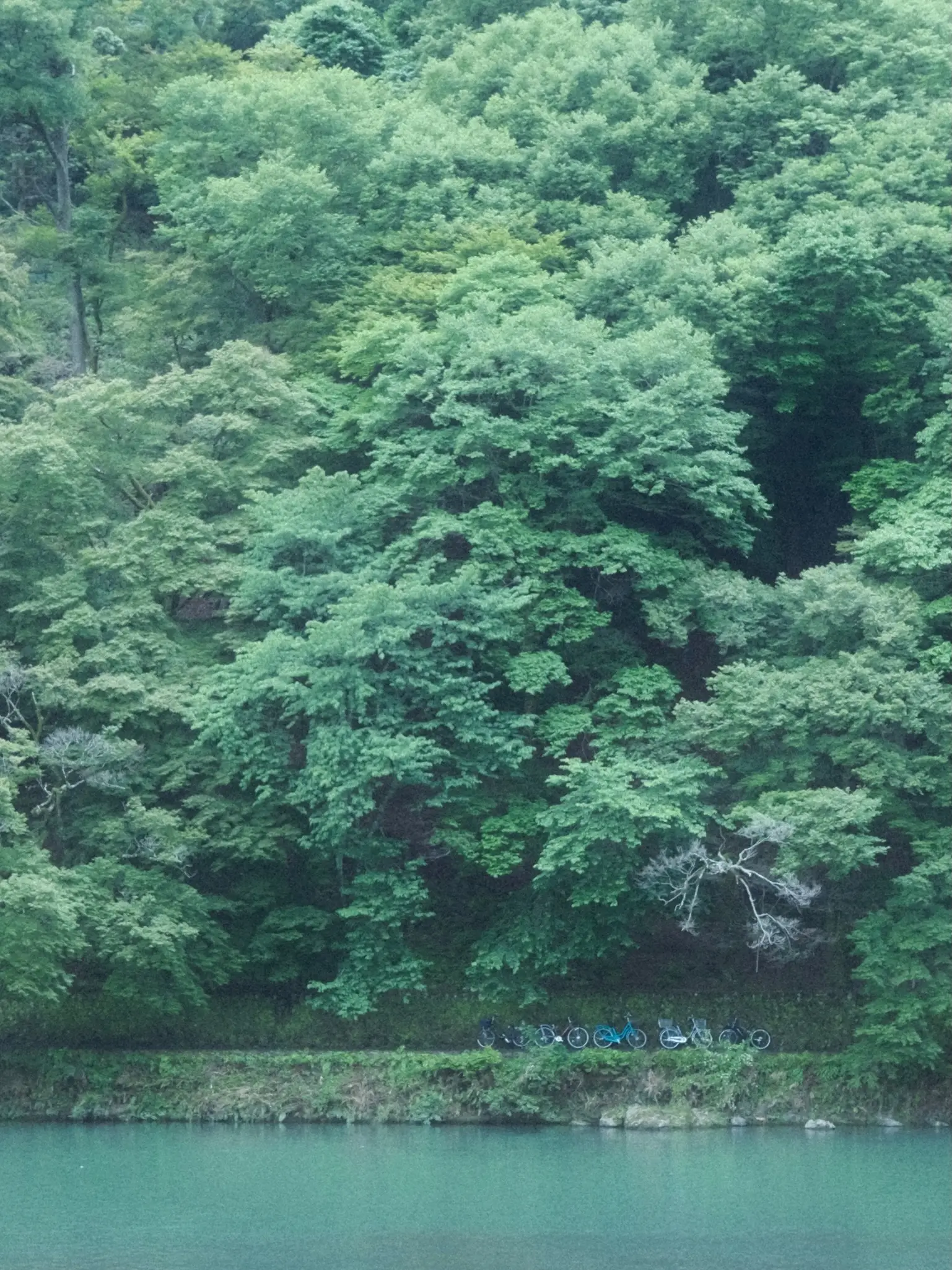 Photo: 2023-05-25_Bikes-Along-the-River.webp