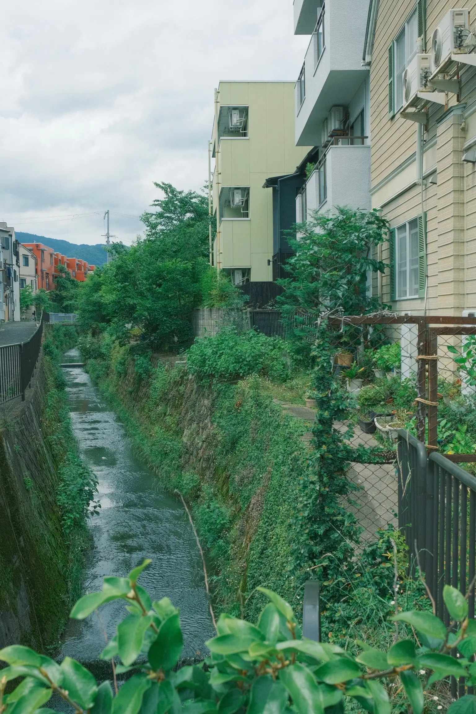 Photo: 2023-05-26_Another-Scenic-Waterway.webp