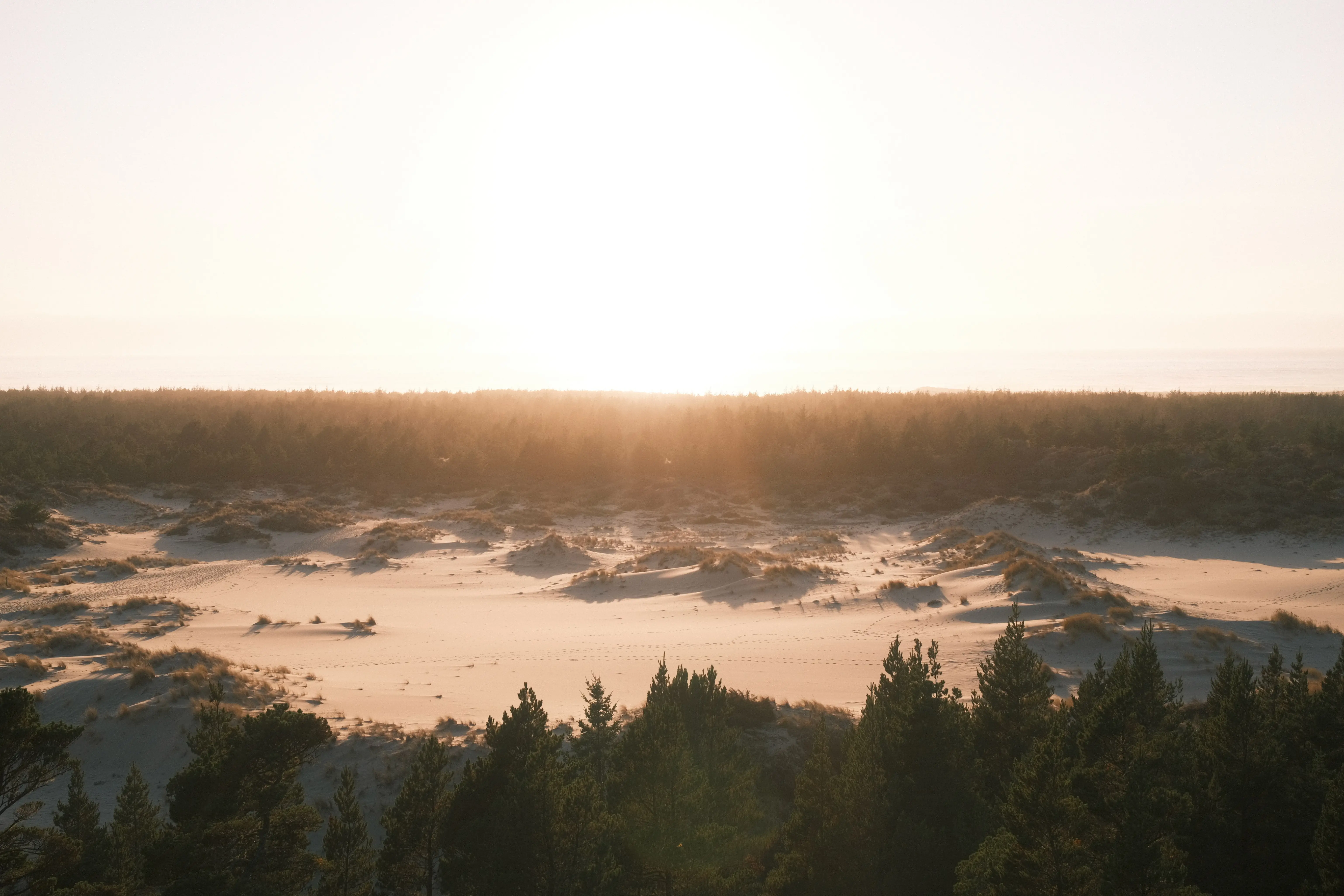 Photo: 2023-09-16_Oregon-Dunes.webp
