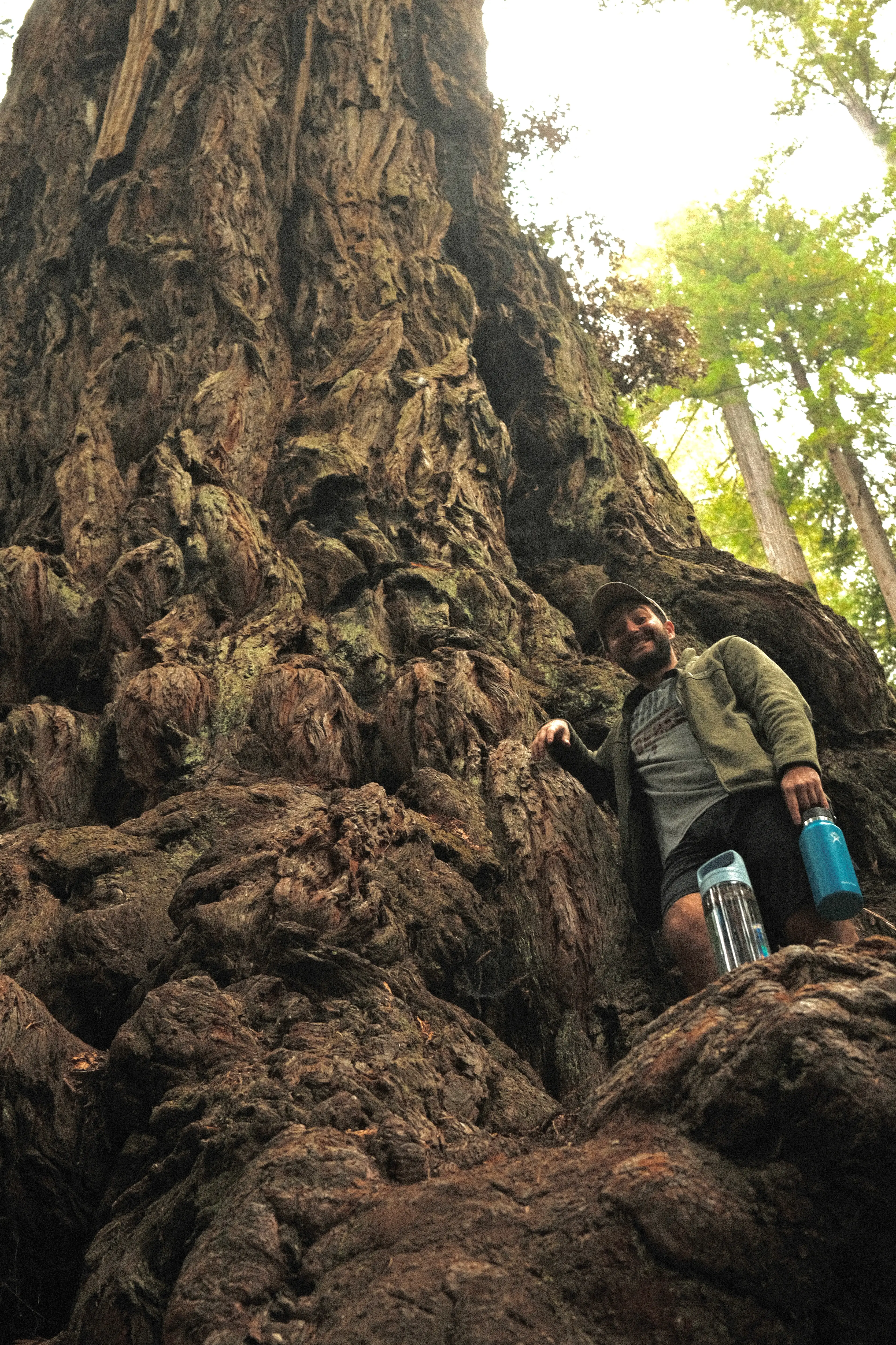 Photo: 2023-09-17_Landon-Up-In-A-Tree.webp