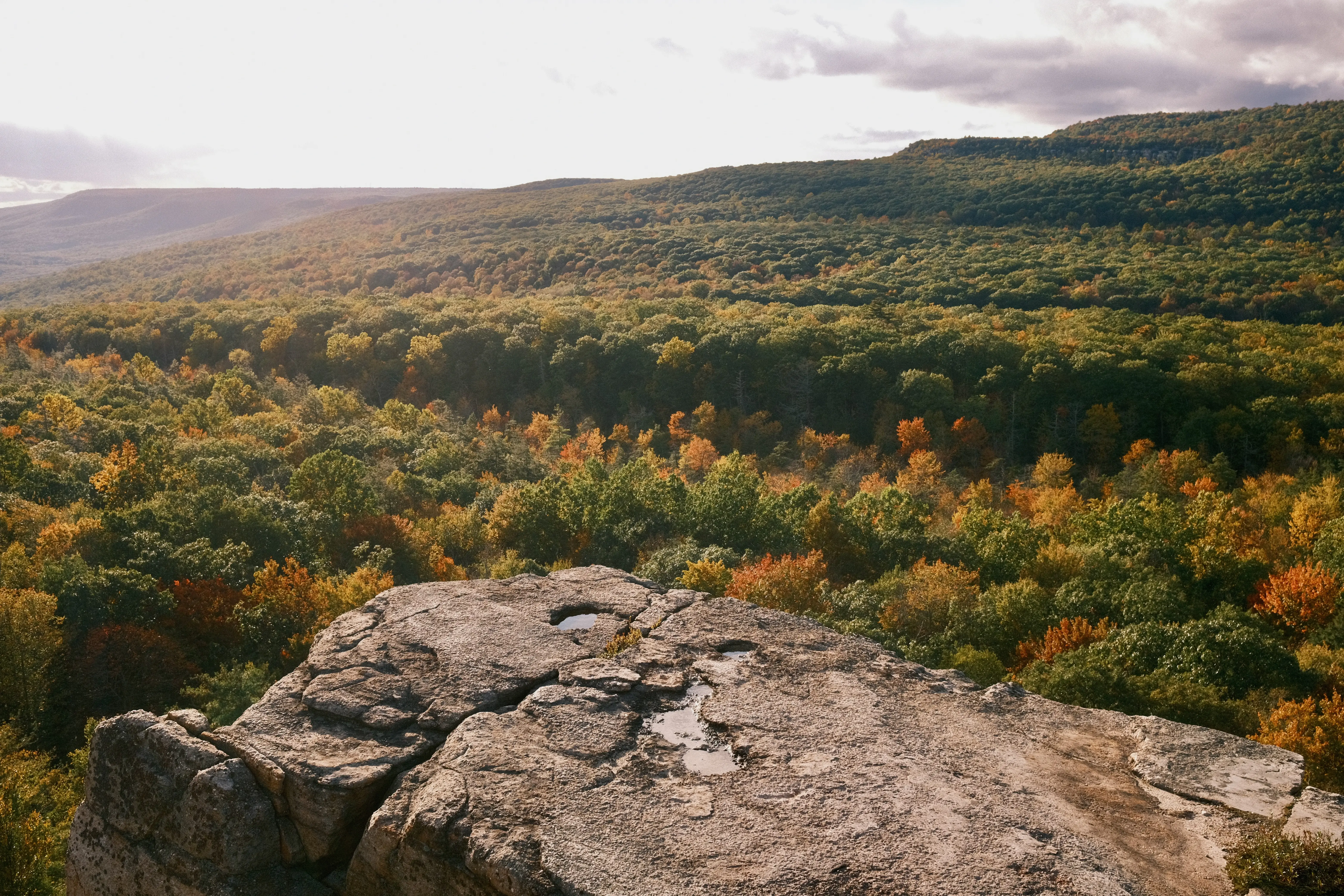 Photo: 2023-10-08_Early-Fall-Foliage.webp