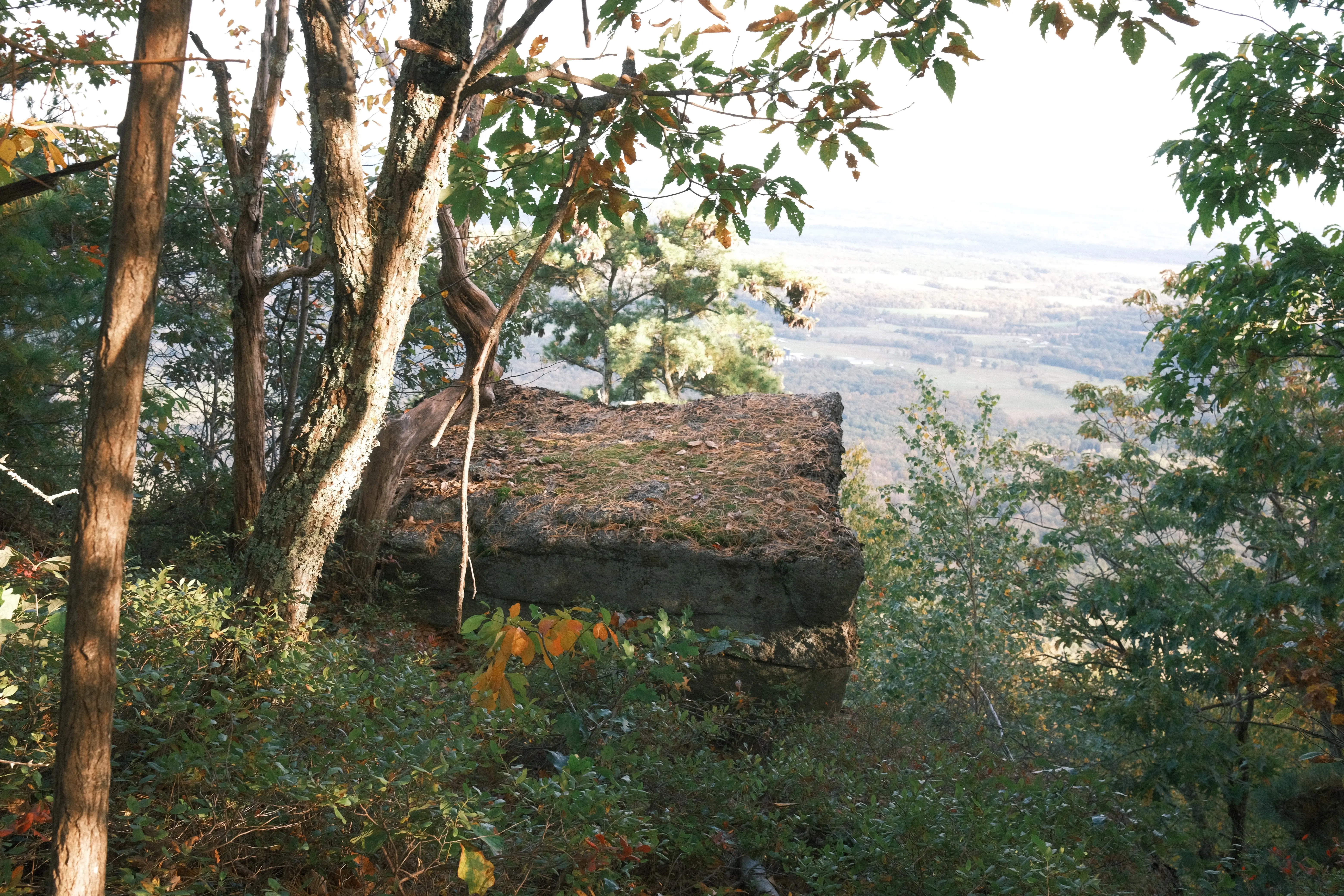 Photo: 2023-10-08_Rock-With-a-View.webp