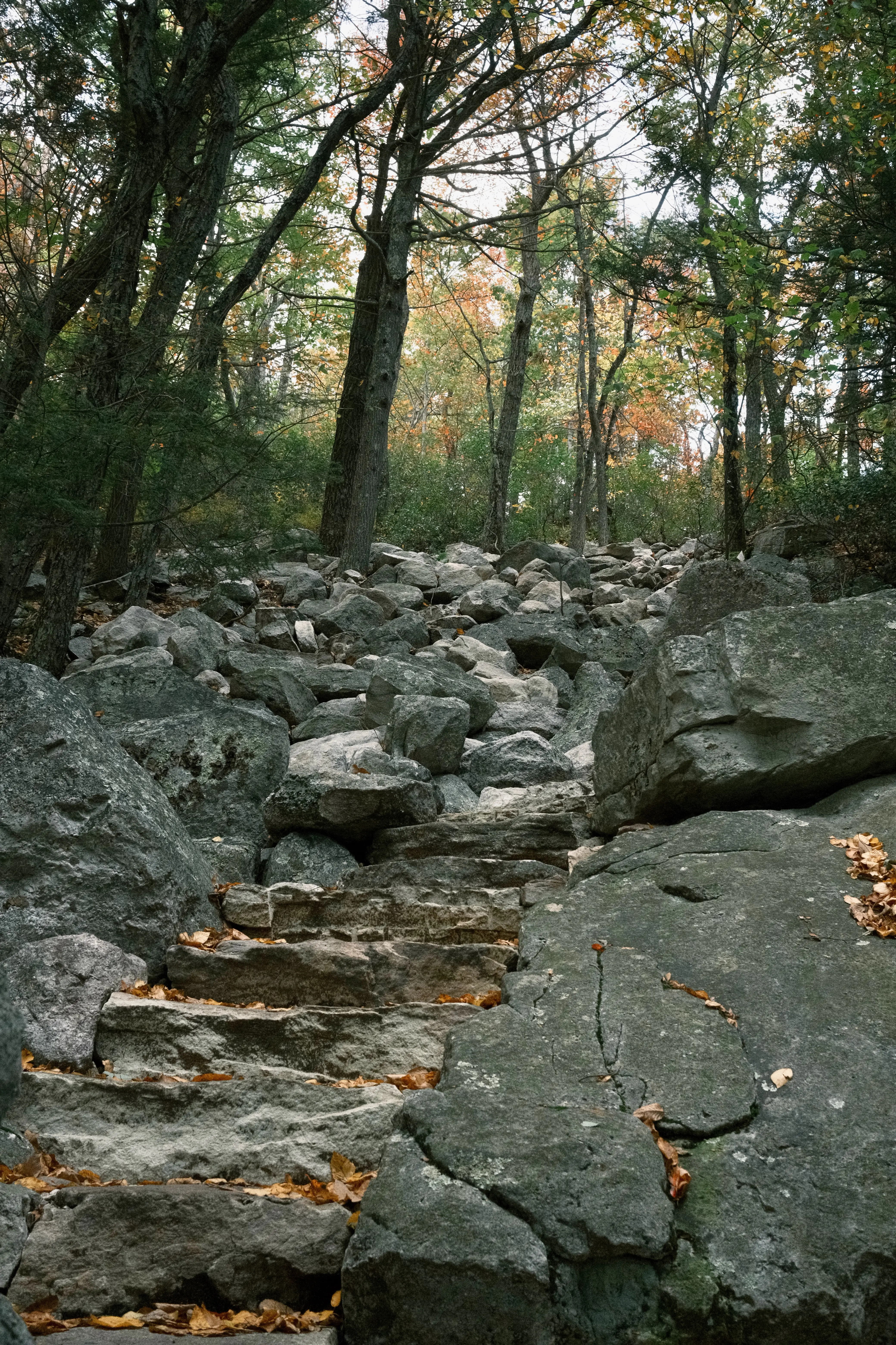 Photo: 2023-10-08_Stone-Stairs.webp