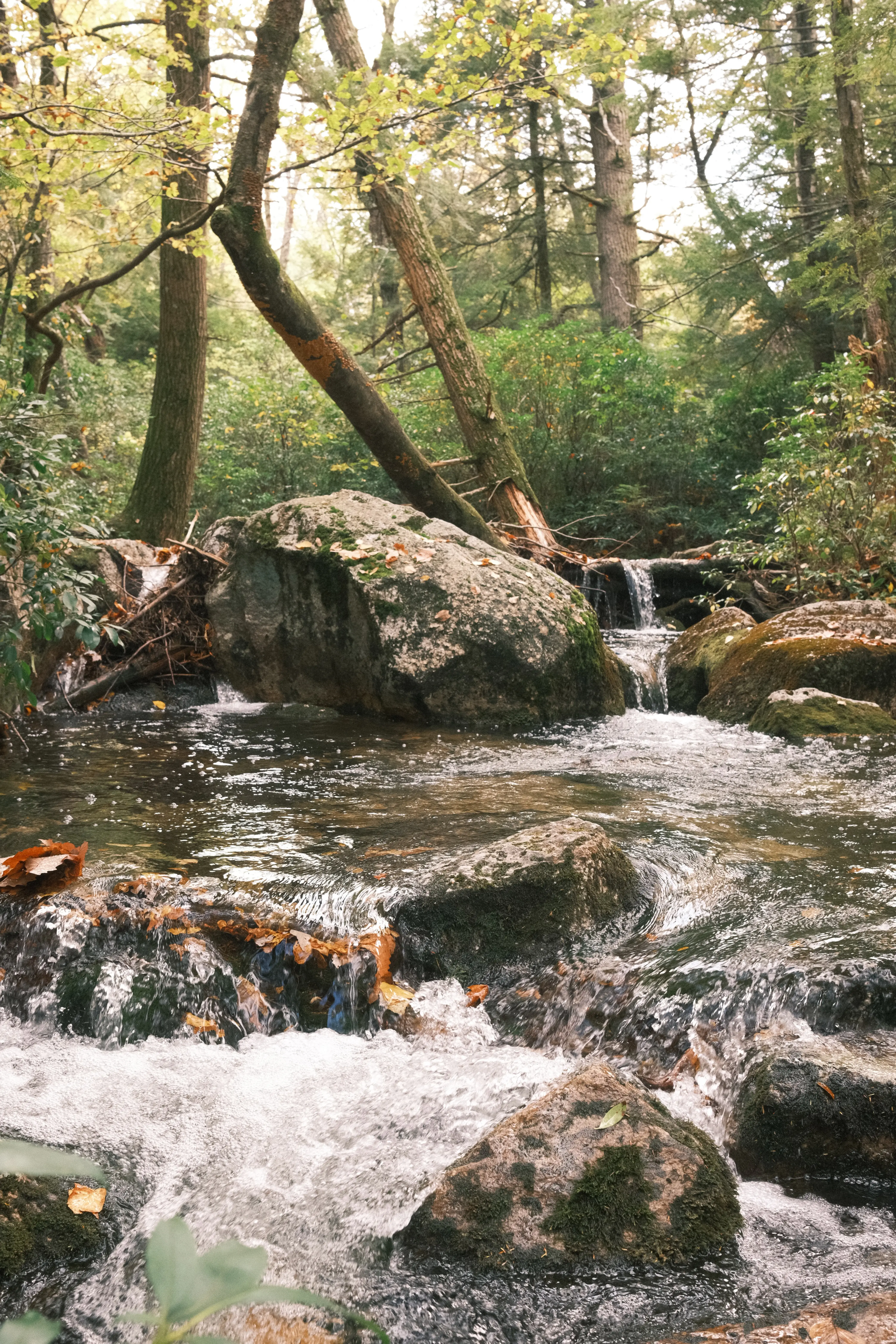 Photo: 2023-10-08_Stream.webp