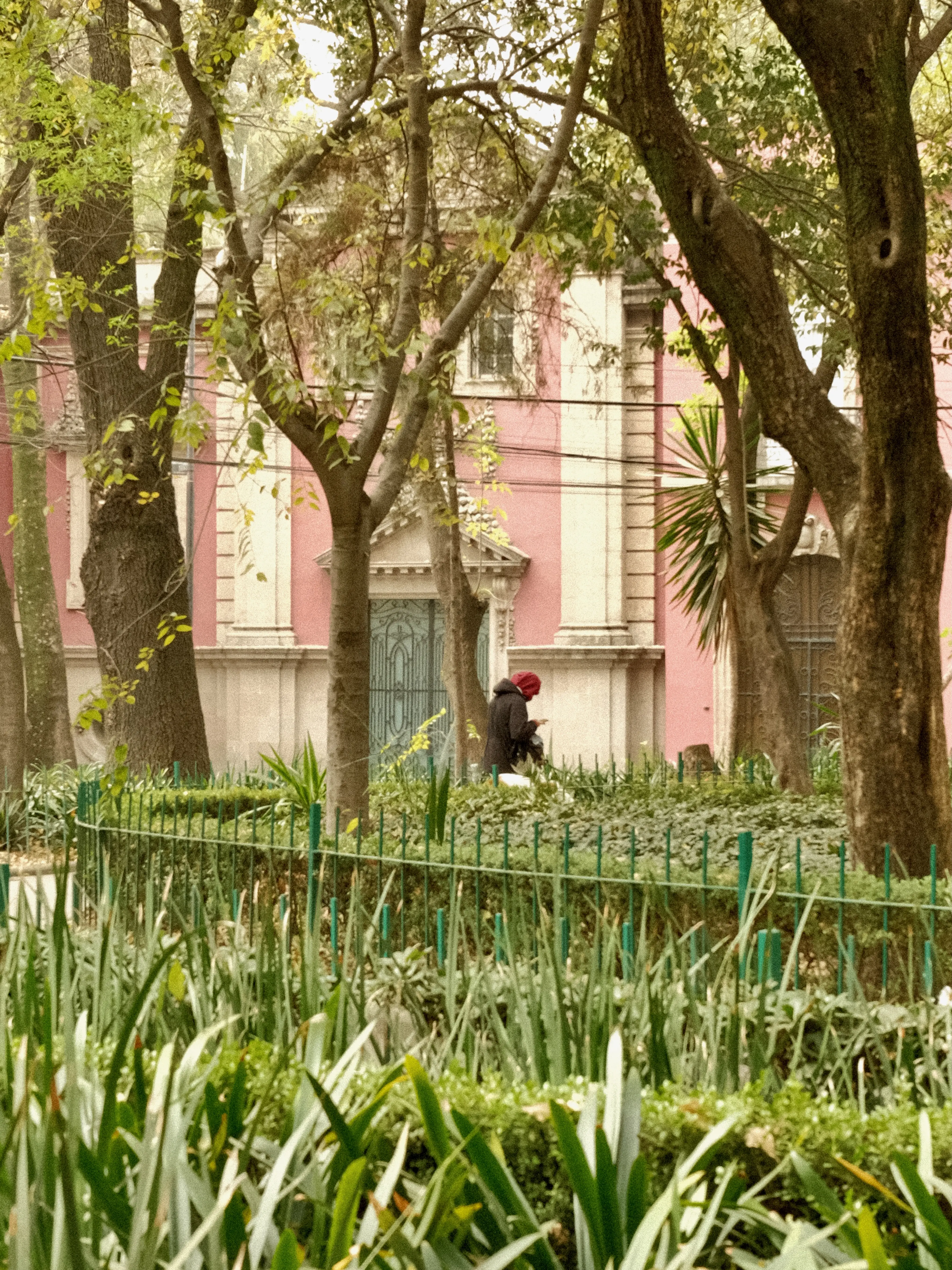 Photo: 2023-12-26_A-Lady-in-the-Park.webp