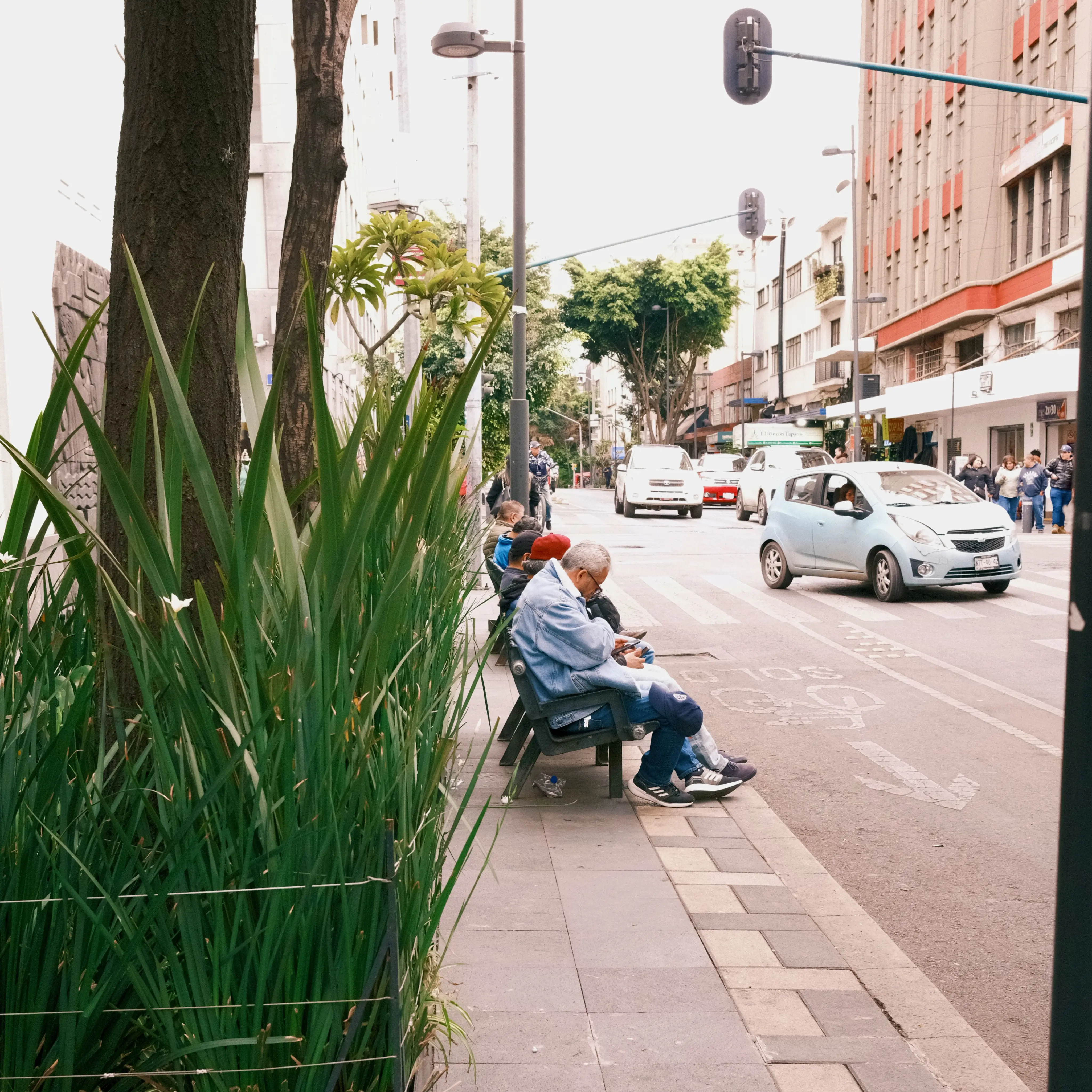 Photo: 2023-12-27_Waiting-for-the-Bus.webp