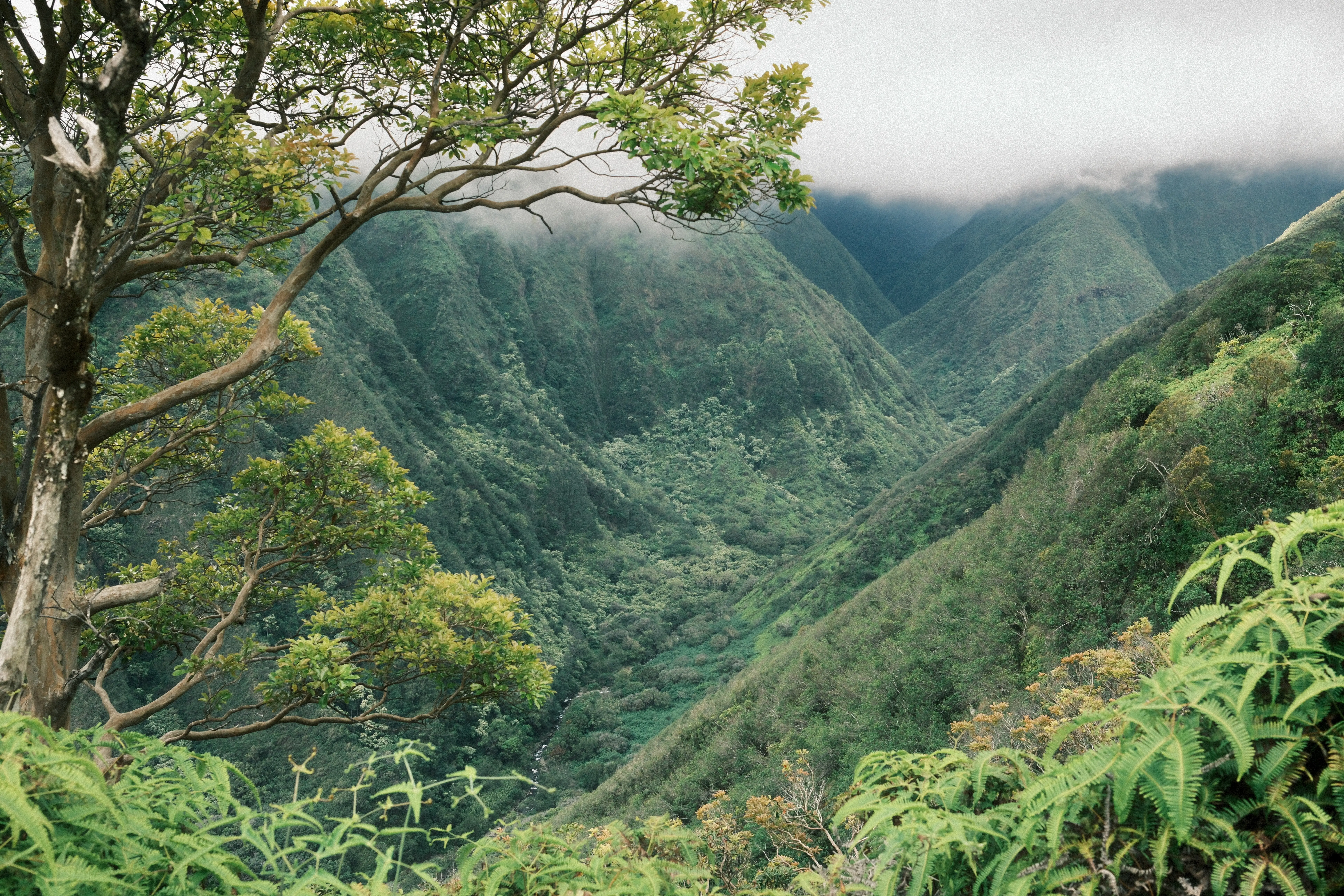 Photo: 2024-05-09_31369578-eb5a-443a-a89b-8c85df4b3351.webp