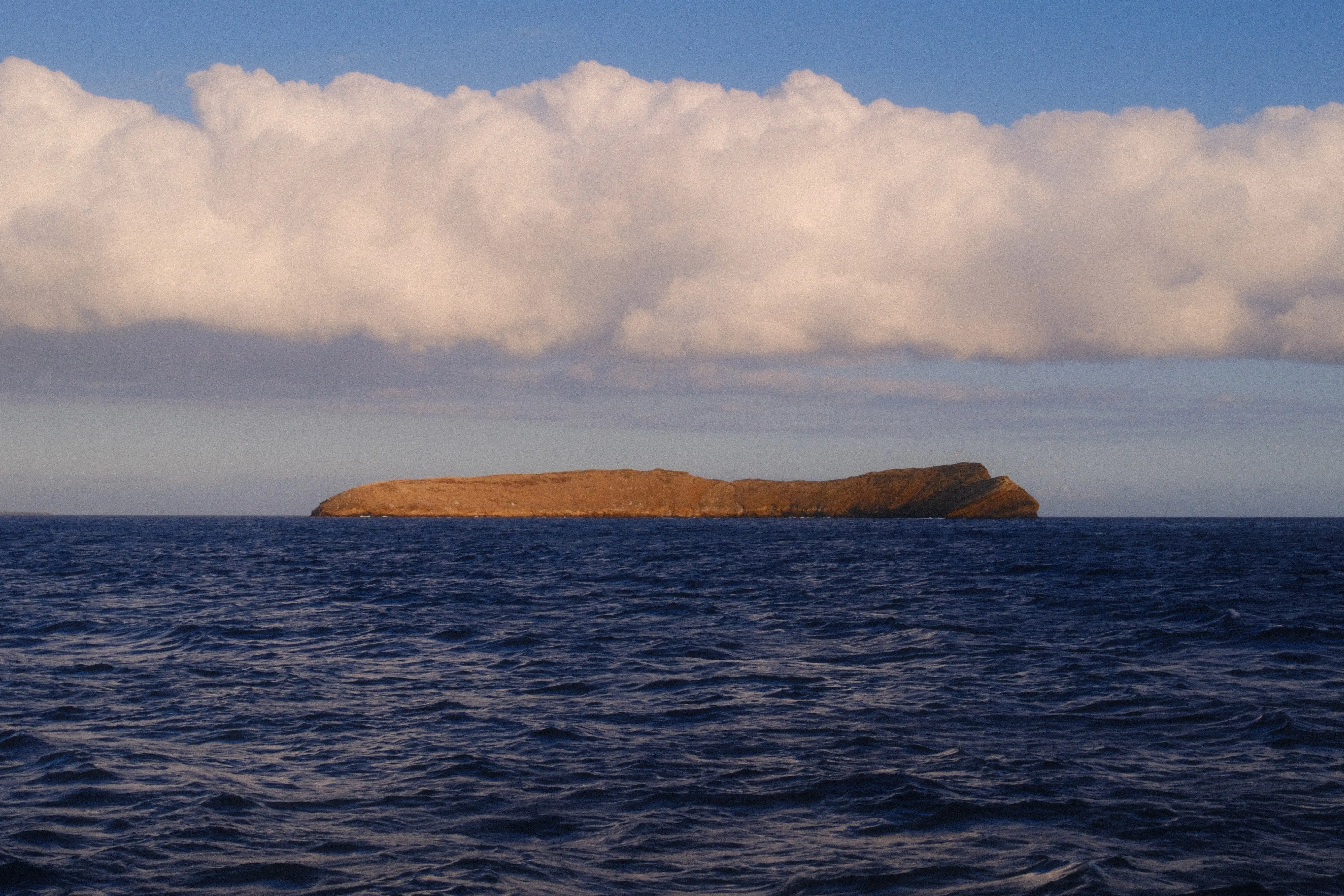 Photo: 2024-05-09_3d7f5c35-adb1-4ffe-9b24-e7f045b5e14f.webp