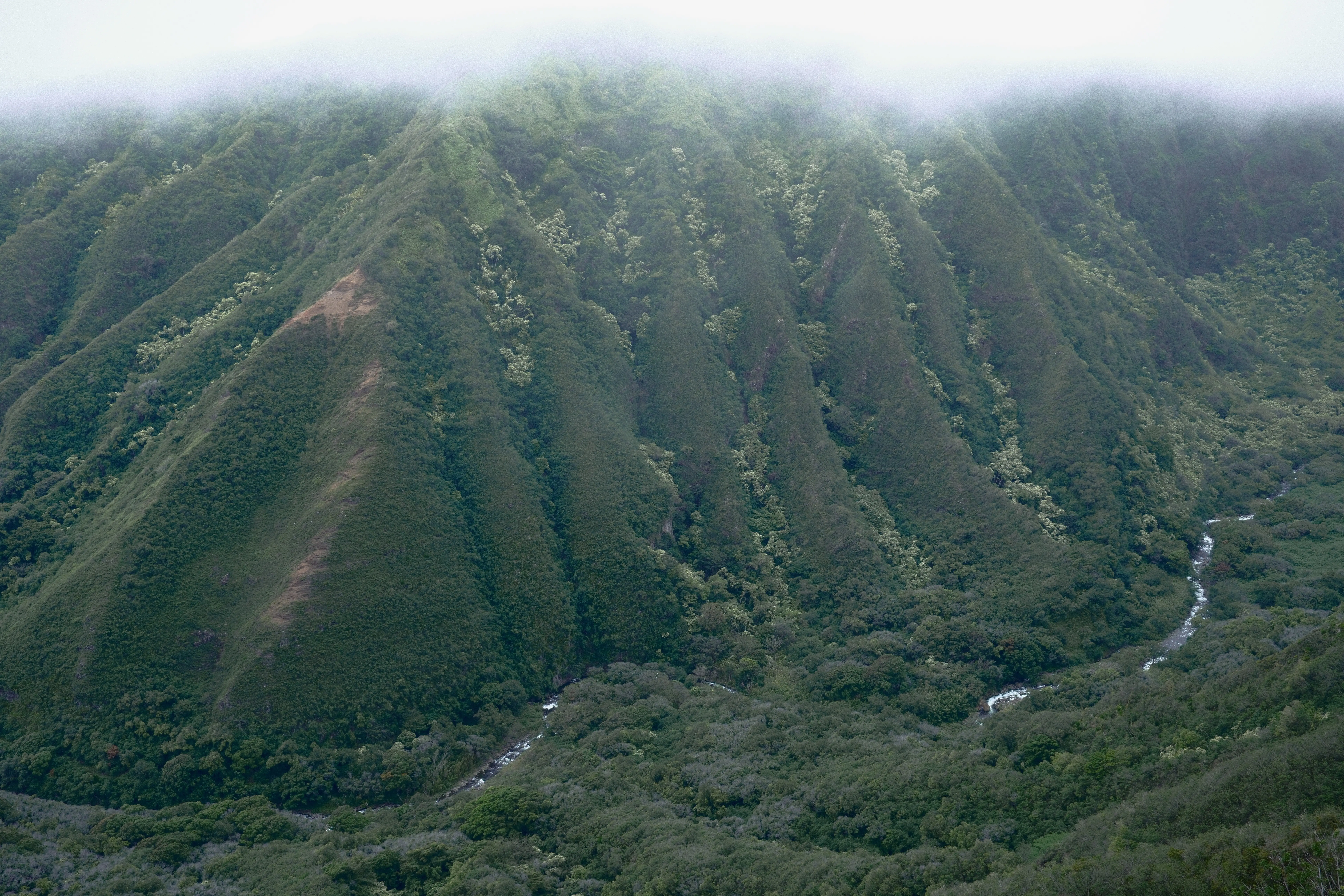 Photo: 2024-05-09_b843d01c-85a4-4912-87c4-00c7a44d7a3d.webp