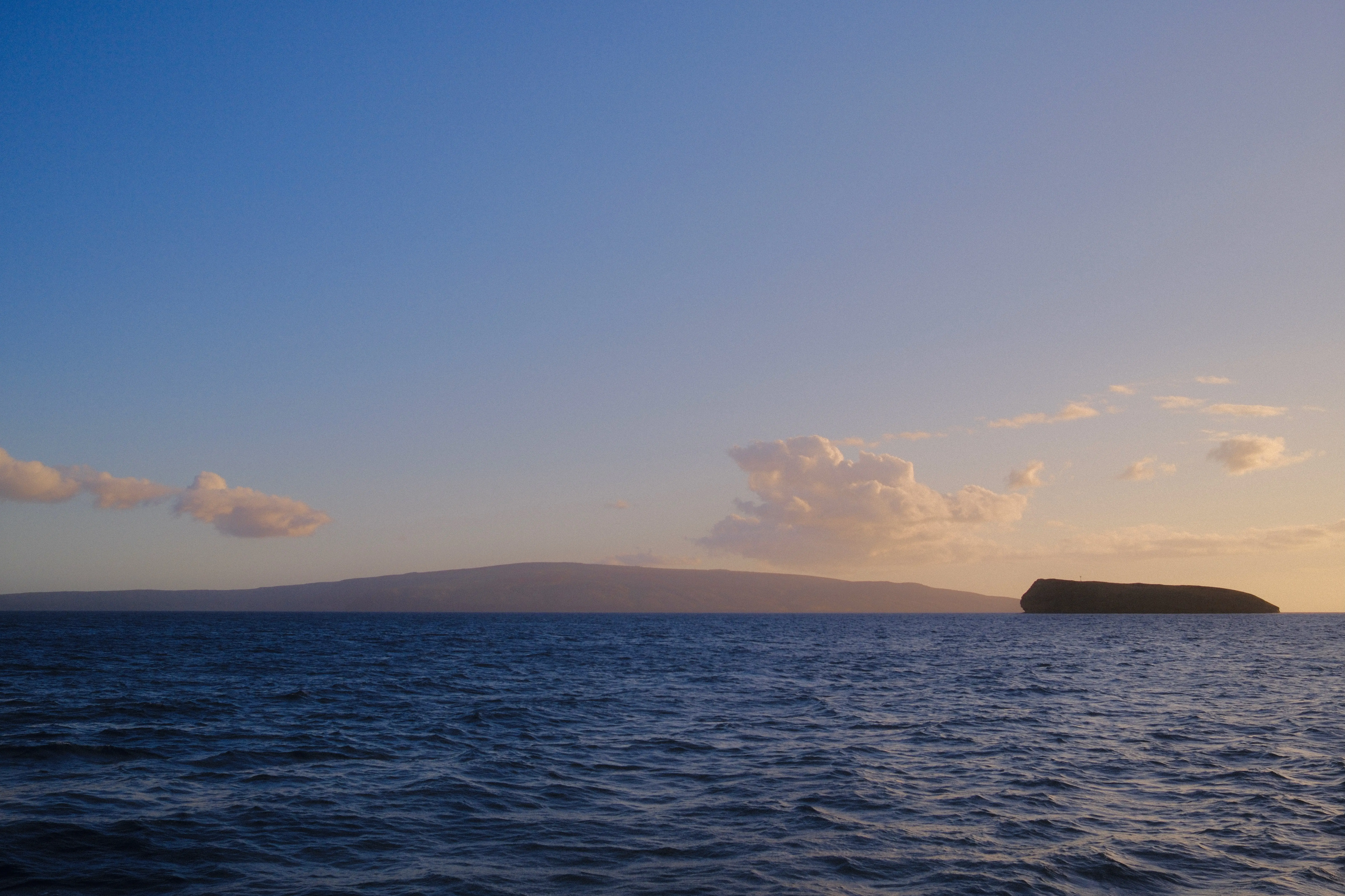 Photo: 2024-05-09_dd9a44b7-c397-462d-9c53-d06927a29dd7.webp