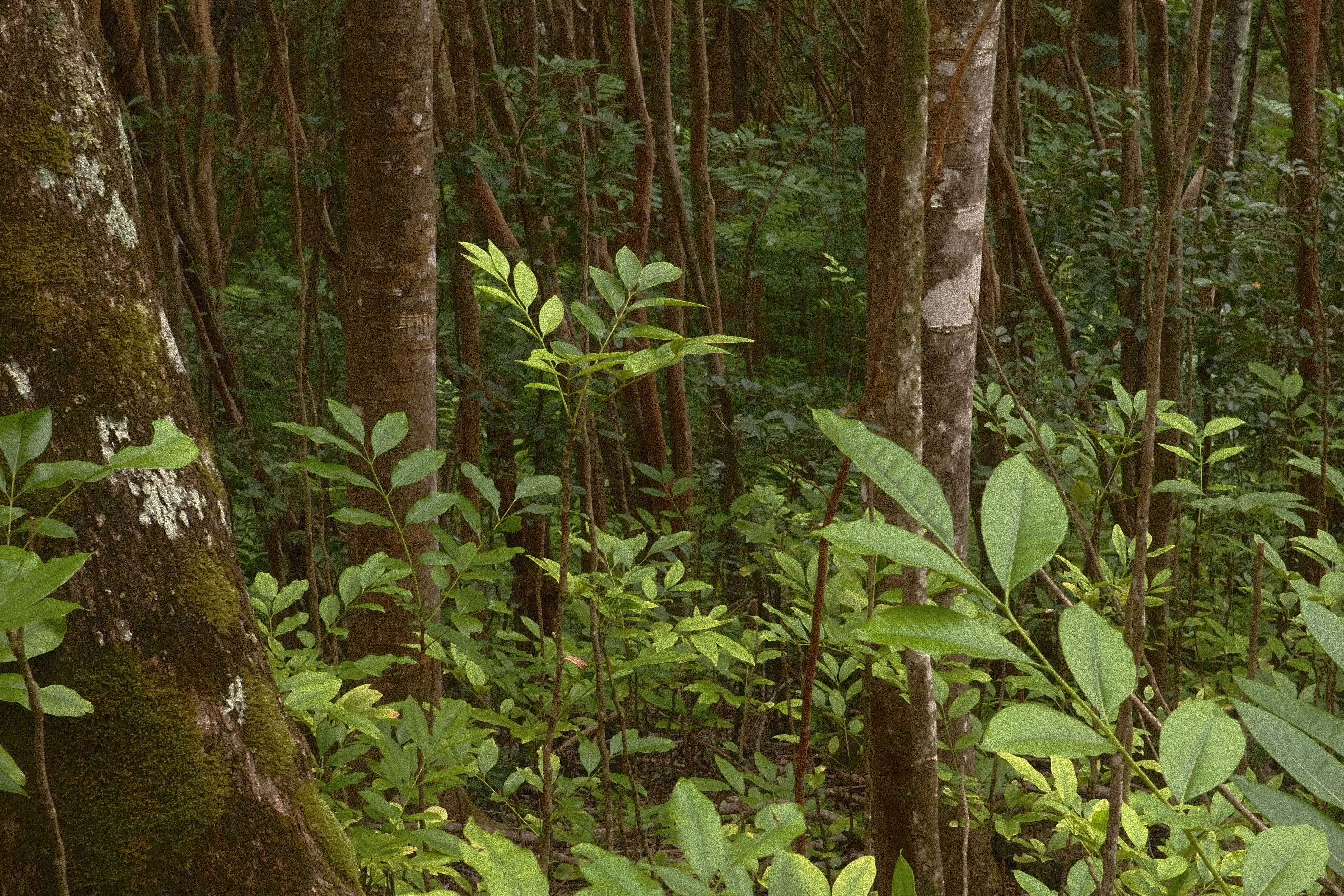 Photo: 2024-05-09_df7d0853-5ac2-4843-b4e4-b3aca0e413f8.webp