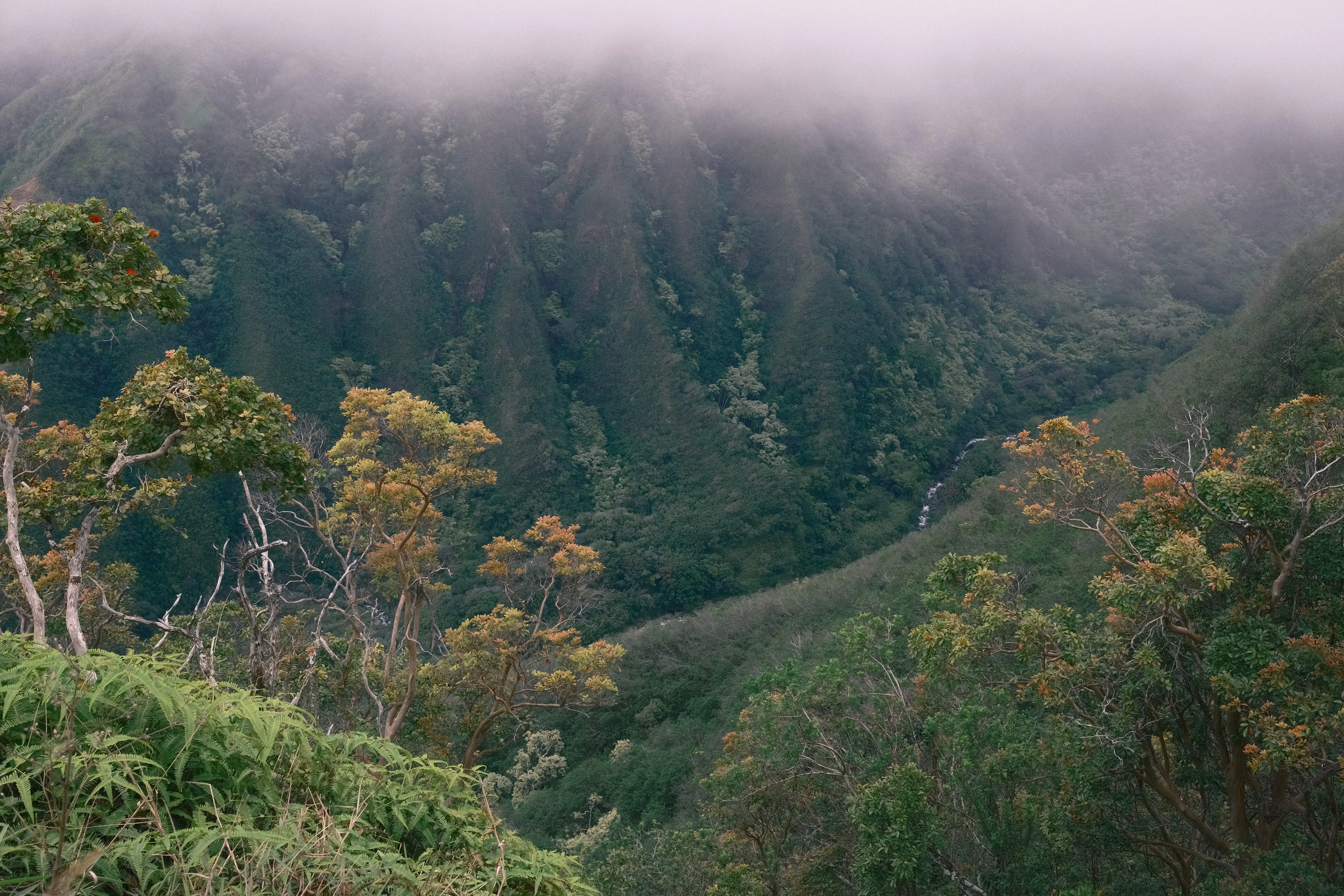 Photo: 2024-05-09_e6643bcc-58e2-4531-b0ec-247f4948d4f1.webp