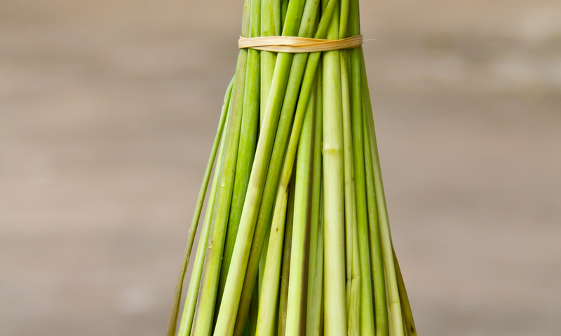 Ancient Thai Beliefs: Stopping Rain With Lemongrass