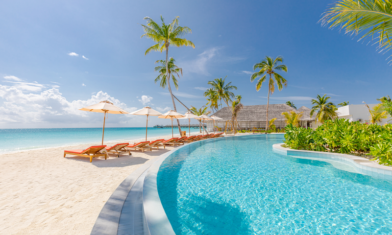 Let's Go to Samui