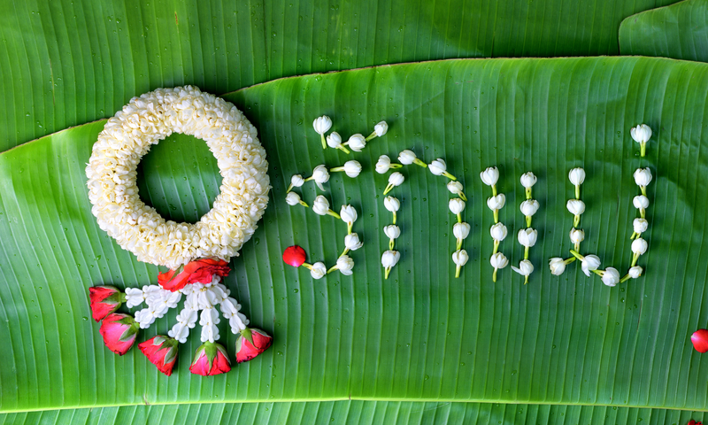 Thailand's Important Daily Flowers