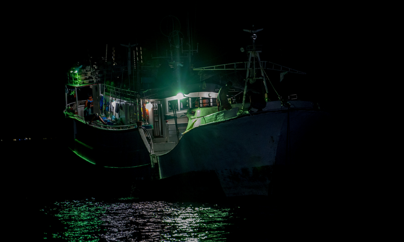 Green Lights in the Night Sea