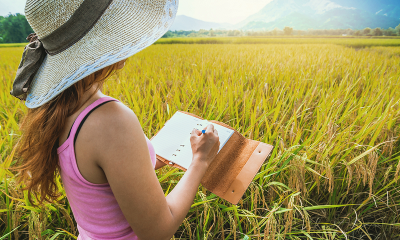 Applying Sufficiency Economy in Daily Life: Pathways to Sustainability