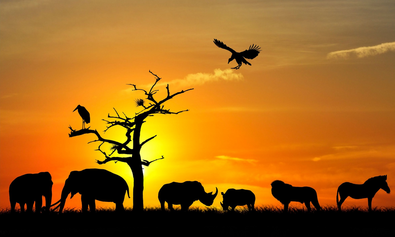 Thailand's Wildlife Reserves