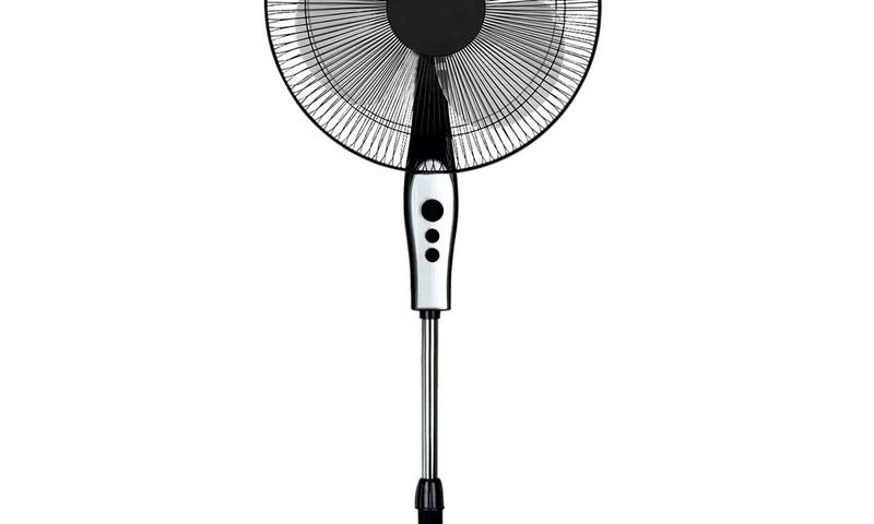 Weha's New Summer Fan