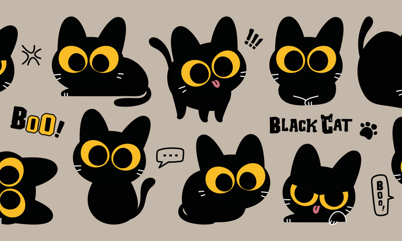 Thai Days & Times for Beginners: A Cat's Crazy Week
